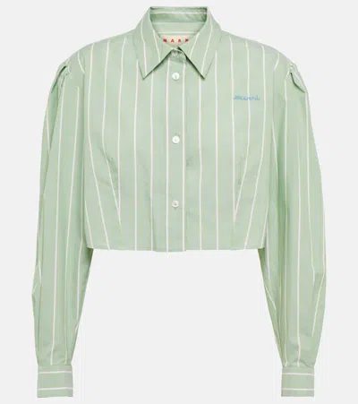 Marni Striped Cotton Poplin Boxy Cropped Shirt In Green
