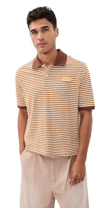 Marni Striped Polo Collar T Shirt Regular Fit In Brown