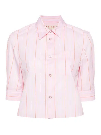 Marni Striped Shirt In Color Carne Y Neutral