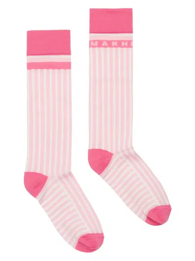 MARNI STRIPED SOCKS