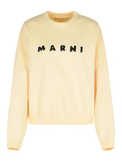 MARNI IVORY COTTON SWEATSHIRT