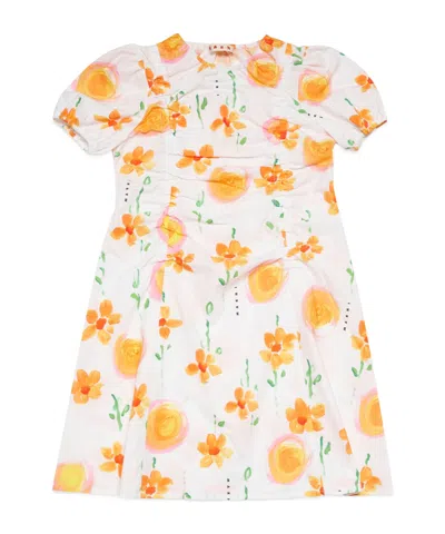 Marni Little Girl's & Girl's Floral Poplin Dress In Neutral