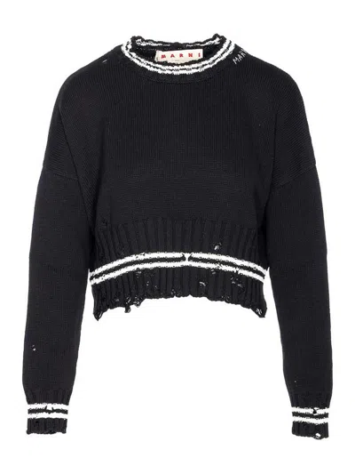 MARNI SWEATER