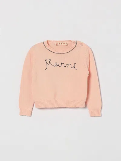 Marni Babies'  Sweater Kids In Pink