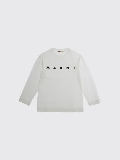 Marni Sweater Kids Color White In Brown