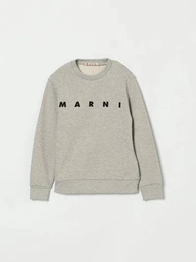 Marni Sweater Kids  In Gray