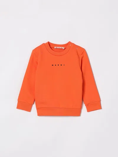 Marni Babies' Sweater Kids  In Orange