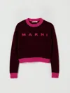 Marni Sweater  Kids Color Burgundy
