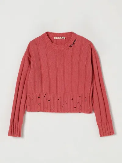 Marni Sweater  Kids Color Violet In Pink