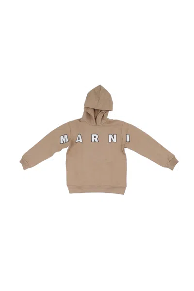 Marni Sweaters Beige In Brown