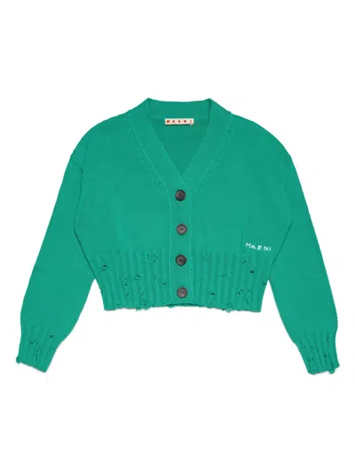 Marni Kids'  Sweaters Green