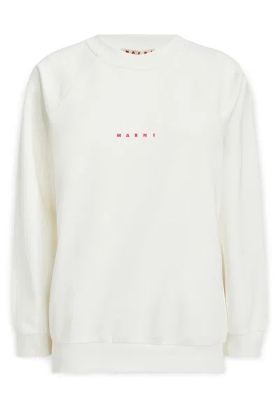 Marni Sweaters In White