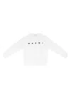Marni Sweaters White In White