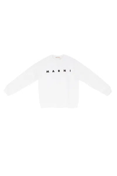 Marni Sweaters White
