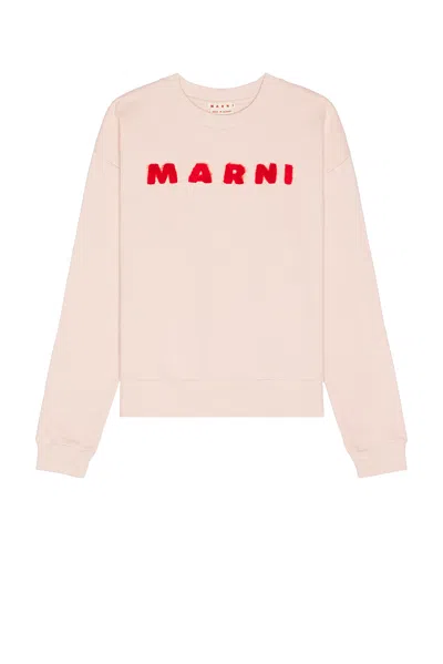 Marni Cotton Sweatshirt In Pink