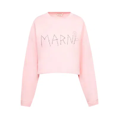 Pre-owned Marni Sweatshirt 'pink' | Women's Size 40