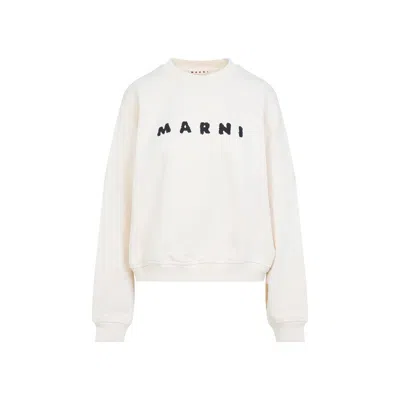 MARNI MARNI SWEATSHIRT