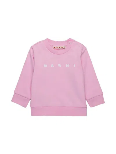 Marni Babies' Sweatshirt With Print In Pink