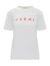 Marni White Jersey T-shirt With Scribbled Logo
