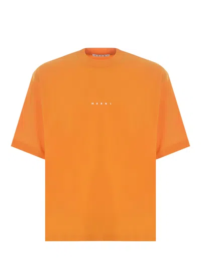 Marni T-shirt  In Light Orange