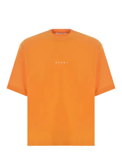 Marni Logo-print Cotton T-shirt In Light Orange