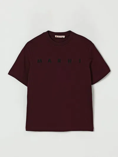Marni T-shirt  Kids Color Brown In Burgundy