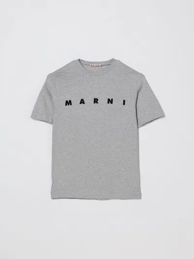Marni T-shirt  Kids Color Grey In Gray