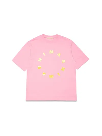 Marni Kids' T-shirt In Pink