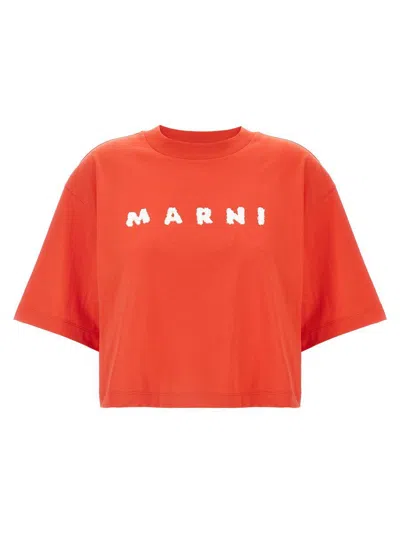 Marni T-shirts And Polos