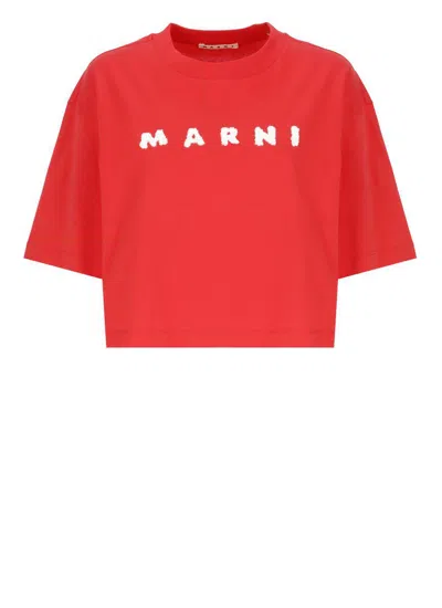 Marni T-shirts And Polos In Red