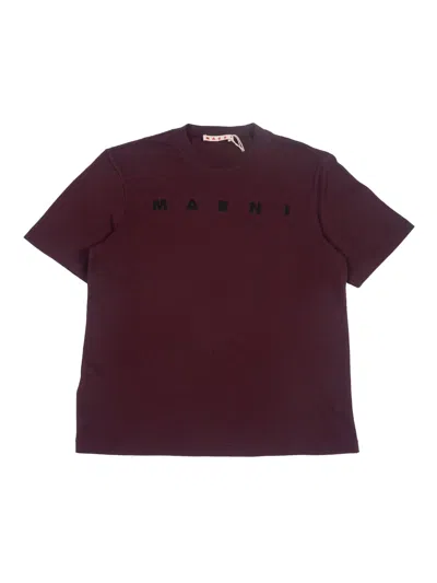 Marni Kids' T-shirts In Brown