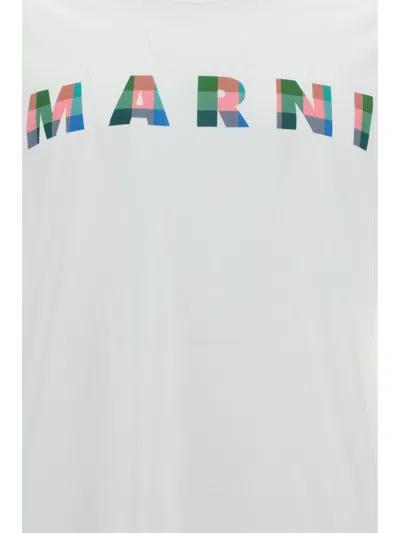 Marni Gingham Logo-print Cotton T-shirt In White