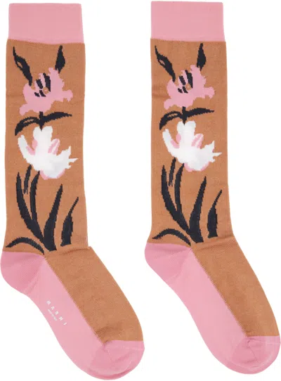 Marni Tan & Pink Intarsia Flower Mid-calf Socks In Brown