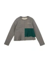 Marni Toddler Girl Sweatshirt Grey Size 4 Cotton, Elastane In Grey