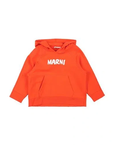 Marni Babies'  Toddler Girl Sweatshirt Orange Size 6 Cotton