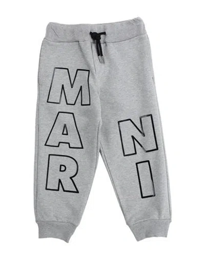 Marni Babies'  Toddler Pants Grey Size 6 Cotton