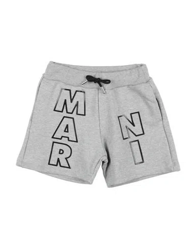 Marni Babies'  Toddler Shorts & Bermuda Shorts Grey Size 6 Cotton
