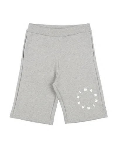 Marni Toddler Shorts & Bermuda Shorts Grey Size 6 Cotton In Grey