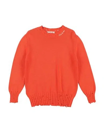 Marni Babies'  Toddler Sweater Orange Size 6 Cotton