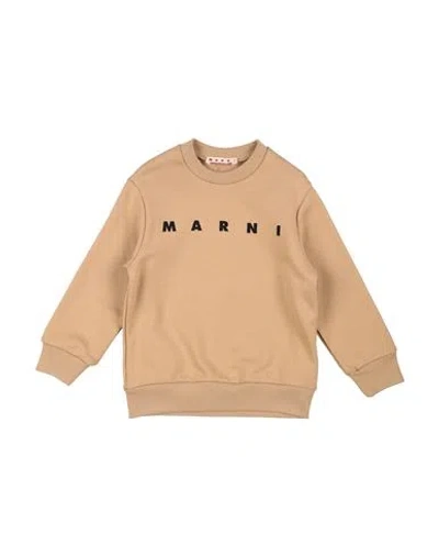 Marni Babies'  Toddler Sweatshirt Beige Size 6 Cotton In Brown