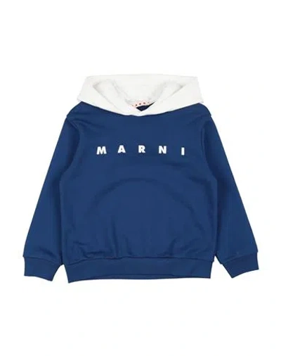 Marni Babies'  Toddler Sweatshirt Blue Size 6 Cotton