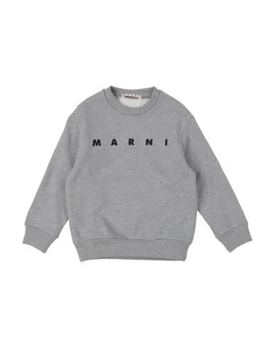 Marni Babies'  Toddler Sweatshirt Light Grey Size 6 Cotton In Gray