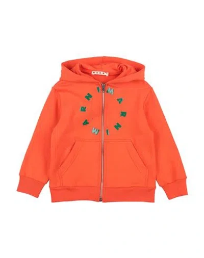 Marni Babies'  Toddler Sweatshirt Mandarin Size 6 Cotton In Orange