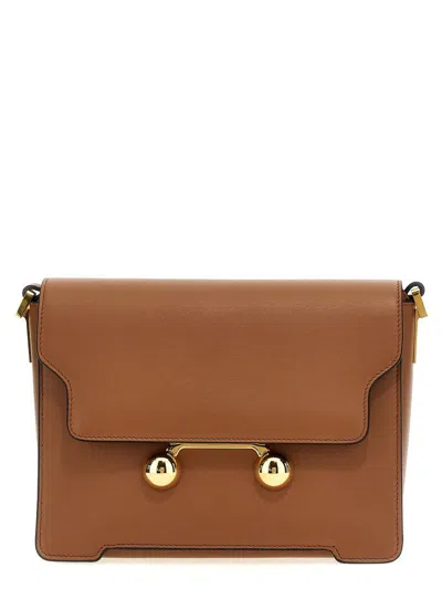 Marni Brown Trunkaroo Medium Crossbody Bag