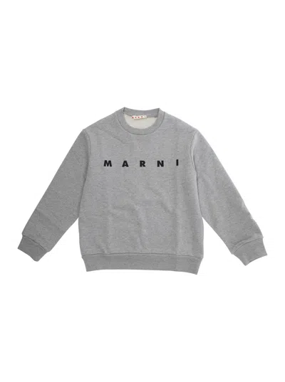 Marni Kids' Unisex In Gray