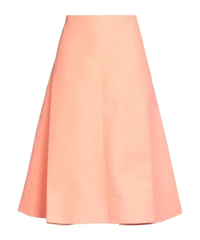 Marni Unlined Pleated Skirt In Pink