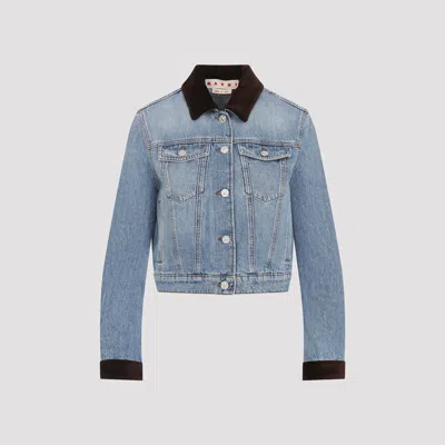 MARNI WASHED BULL DENIM TRUCKER CROPPED JACKET