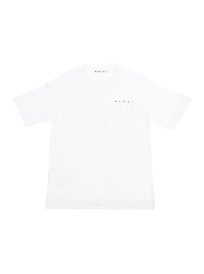 Marni Kids' White Crewneck T-shirt With Logo Lettering On The Front In Cotton Boy