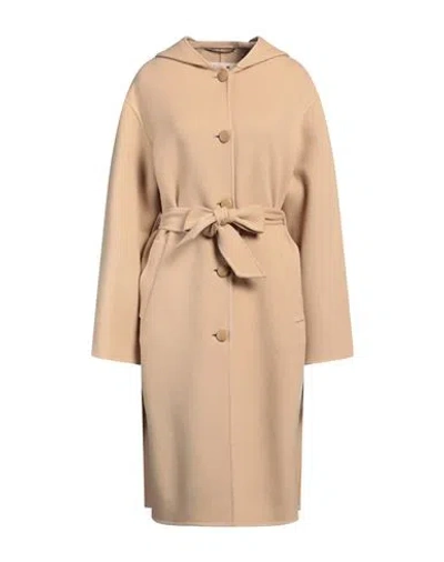 Marni Woman Coat Sand Size 6 Virgin Wool, Cashmere, Polyamide In Beige