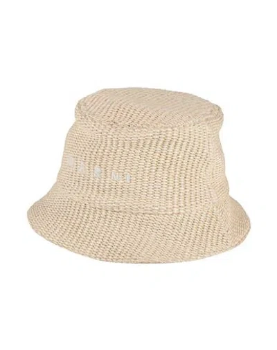 Marni Woman Hat Cream Size M Cotton, Polyamide